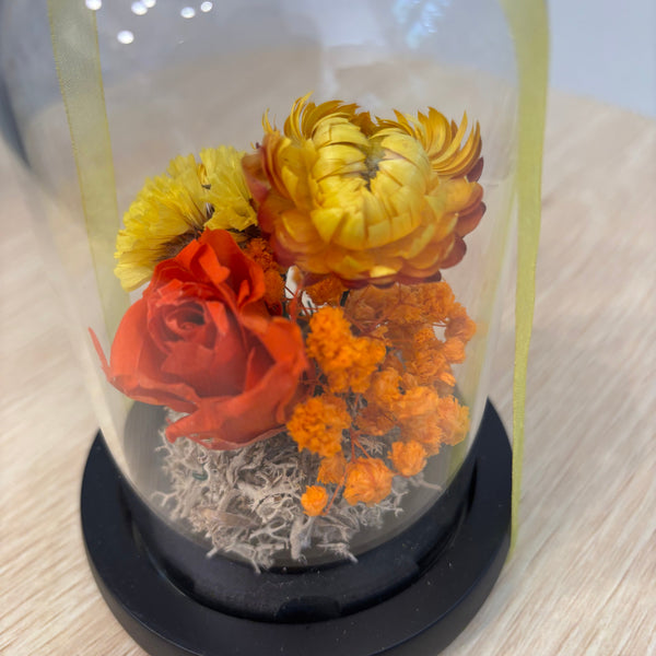 Baby Citrus Dome - Dried Flowers