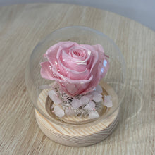 Load image into Gallery viewer, Miniature Glass Dome with Seed Lights | Eternal Rose & Chrysanthemum