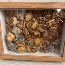 Load image into Gallery viewer, Immortal Rose Garden - Shadow Box