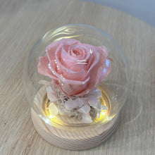 Load image into Gallery viewer, Miniature Glass Dome with Seed Lights | Eternal Rose & Chrysanthemum