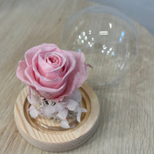 Load image into Gallery viewer, Miniature Glass Dome with Seed Lights | Eternal Rose & Chrysanthemum