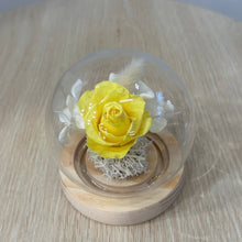Load image into Gallery viewer, Miniature Glass Dome with Seed Lights | Eternal Rose & Chrysanthemum