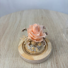 Load image into Gallery viewer, Miniature Glass Dome with Seed Lights | Eternal Rose & Chrysanthemum