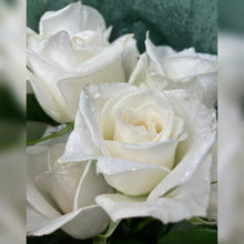 Load image into Gallery viewer, White Diamond Roses