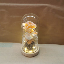Load image into Gallery viewer, Princess Peach Tall Dome - with seed lights