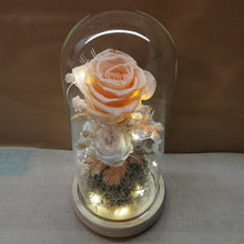 Load image into Gallery viewer, Princess Peach Tall Dome - with seed lights