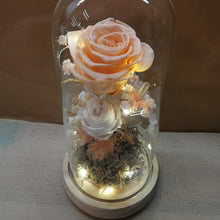 Load image into Gallery viewer, Princess Peach Tall Dome - with seed lights
