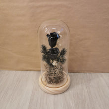 Load image into Gallery viewer, Onyx Dome