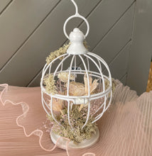 Load image into Gallery viewer, Dried Flower Birdcage