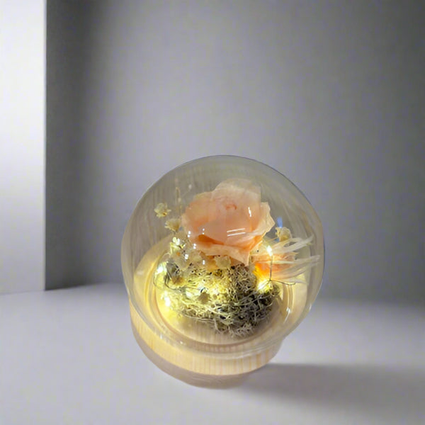 Eternal Single Rose Dome - With Seed Lights