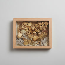 Load image into Gallery viewer, Immortal Rose Garden - Shadow Box
