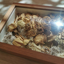 Load image into Gallery viewer, Immortal Rose Garden - Shadow Box
