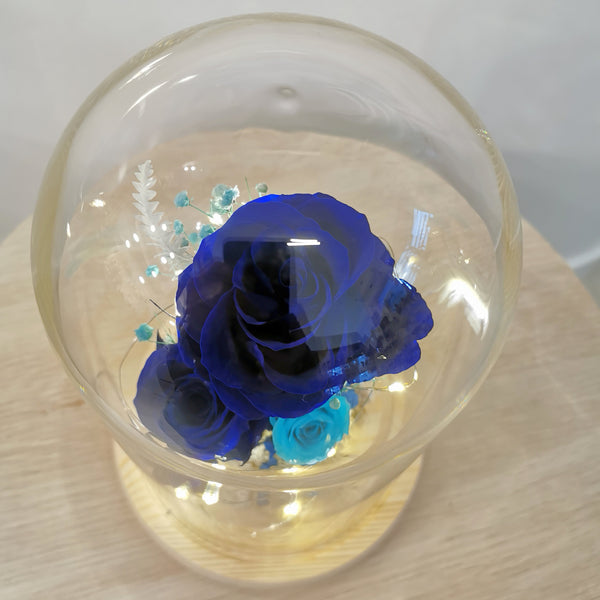 Glass Dome- Lapis Blue Velvet (XL) with seed lights