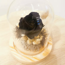 Load image into Gallery viewer, Onyx Dome