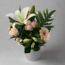 Load image into Gallery viewer, The Splendour Arrangement - in a Ceramic Pot