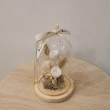 Load image into Gallery viewer, Glass Domes- Creamy