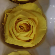 Load image into Gallery viewer, Wrist Corsage (Choose Your Colour β Subject to Availability)