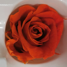 Load image into Gallery viewer, Wrist Corsage (Choose Your Colour β Subject to Availability)