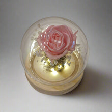 Load image into Gallery viewer, Eternal Single Rose - Glass Flower Dome