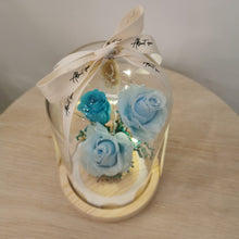 Load image into Gallery viewer, Glass Dome - Sky Blue roses