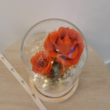 Load image into Gallery viewer, Citrus Embrace Dome