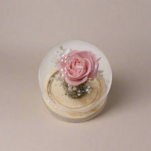 Load image into Gallery viewer, Eternal Single Rose - Glass Flower Dome