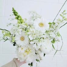 Load image into Gallery viewer, preserved bridal