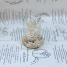 Load image into Gallery viewer, Glass Domes- Creamy