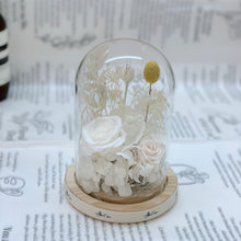 Load image into Gallery viewer, Glass Domes- Creamy