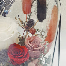 Load image into Gallery viewer, Glass Domes- Ruby Wood