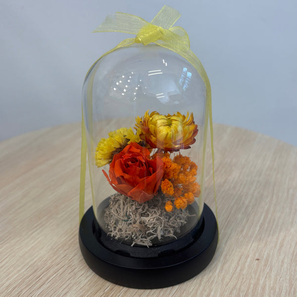 Baby Citrus Dome - Dried Flowers