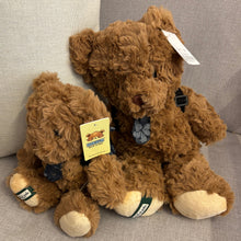 Load image into Gallery viewer, Teddy Bear with Tie &amp; Backpack
