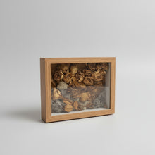 Load image into Gallery viewer, Immortal Rose Garden - Shadow Box
