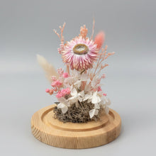 Load image into Gallery viewer, Blush Rice flower - Baby Dome
