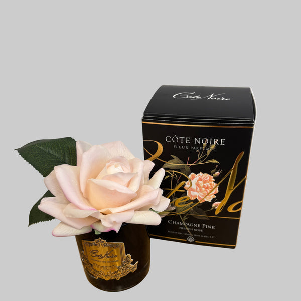 Cote Noire - single rose - Champagne Pink in black glass - GMRB15