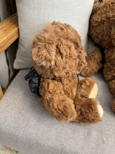 Load image into Gallery viewer, Teddy Bear with Tie &amp; Backpack
