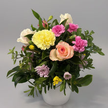 Load image into Gallery viewer, Florist Choice Posie in white Ceramic Pot
