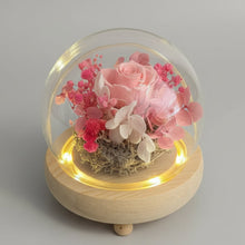 Load image into Gallery viewer, Adorable flower Glass Dome with Seed Lights
