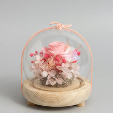 Load image into Gallery viewer, Pink Rose Glass Dome with Seed Lights
