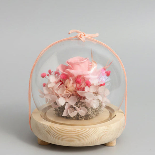 Pink Rose Glass Dome with Seed Lights