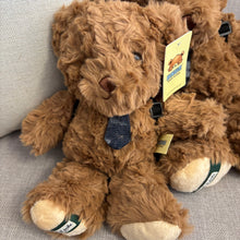 Load image into Gallery viewer, Teddy Bear with Tie &amp; Backpack
