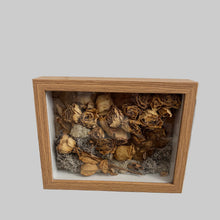 Load image into Gallery viewer, Immortal Rose Garden - Shadow Box
