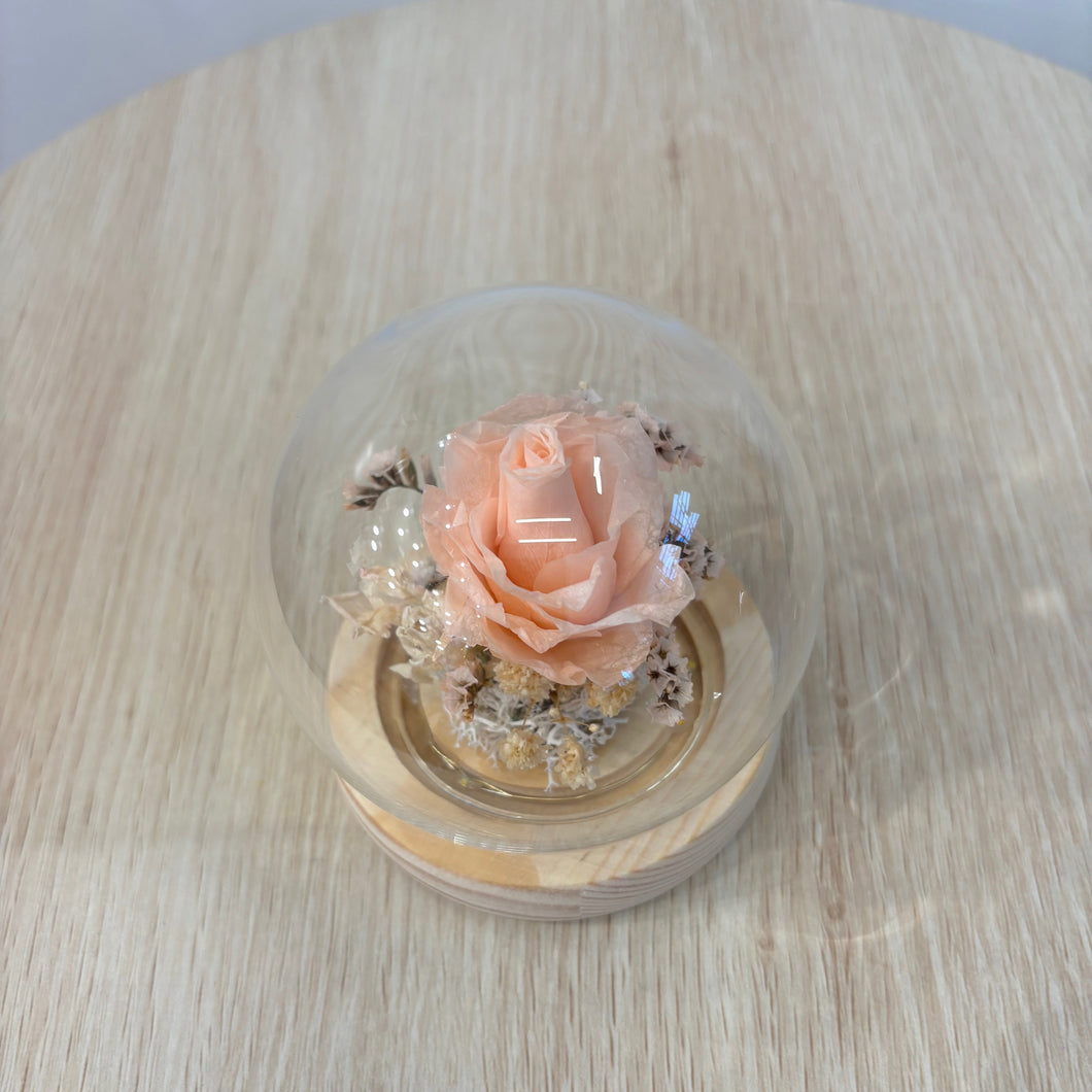 Miniature Flower Dome - Eternal Rose with Seed Lights