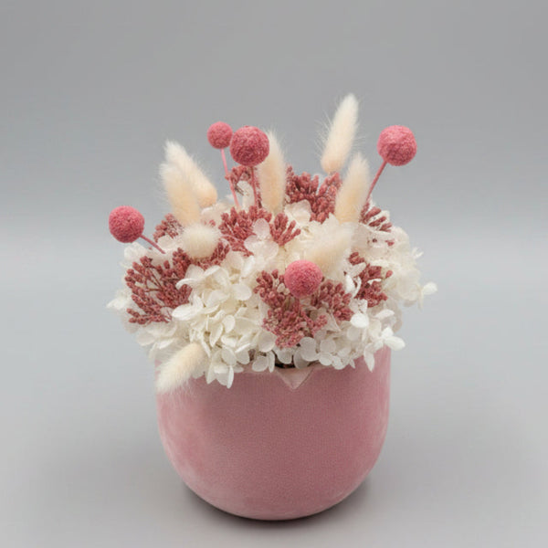 ColourPOP - Low Arrangement