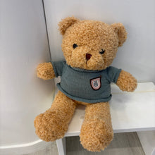Load image into Gallery viewer, Bon Bon - Teddy Bear with Blue Vest
