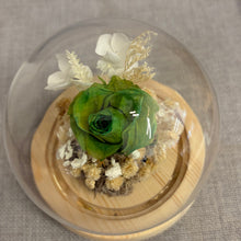 Load image into Gallery viewer, Adorable flower Glass Dome with Seed Lights
