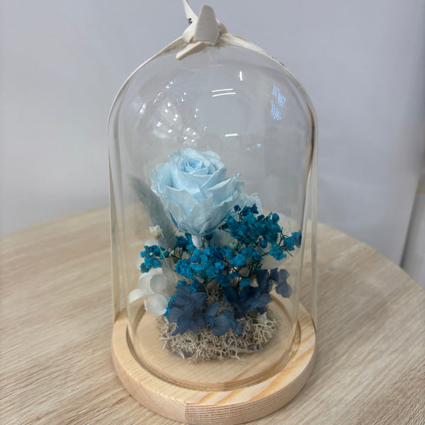 Glass Dome  - Sky Blue roses