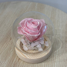 Load image into Gallery viewer, Miniature Flower Dome - Eternal Rose with Seed Lights
