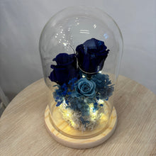 Load image into Gallery viewer, Glass Dome- Lapis Blue Velvet (XL) with seed lights
