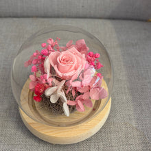 Load image into Gallery viewer, Adorable flower Glass Dome with Seed Lights
